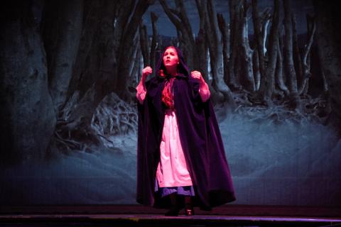 A girl wearing a cloak in front of a digital projection of a dark forest
