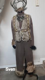 Frozen Jr. Costume Rental Package 