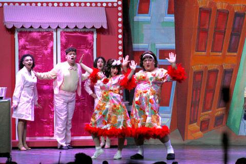 Hairspray Costumes CHEAP