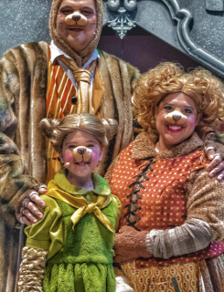 Pro Shrek Costume Packages