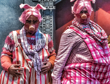 Pro Shrek Costume Packages