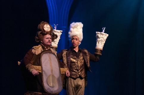 Beauty and the Beast Costumes