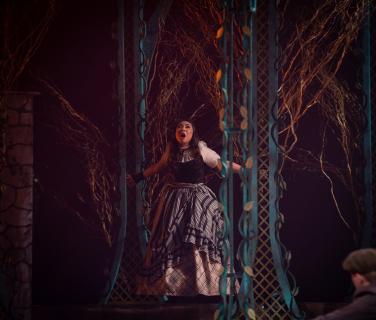 Into the Woods Broadway set rental package -  the tower and forest  --- Stagecraft Theatrical Rental 800-499-1504