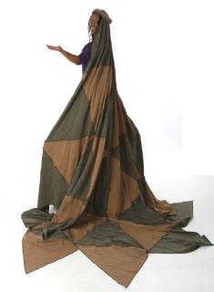 Aida Costume Rentals 