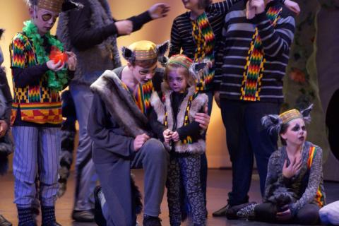 MADAGASCAR Jr - quality costumes for rent