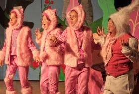 Alice in Wonderland Costume Rentals