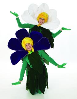 Alice in Wonderland Costume Rentals