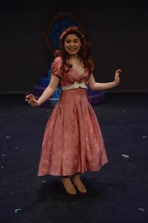 Disney's MERMAID JR. COSTUMES FOR RENT