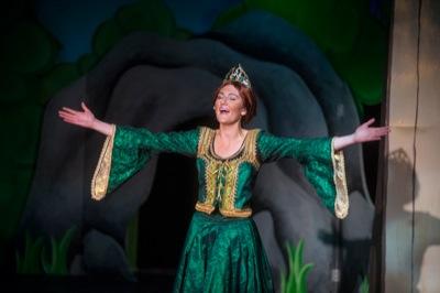 Shrek Costume Rentals