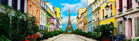 Aristocats Drop Rental