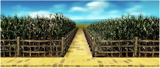D326 Cornfield 3