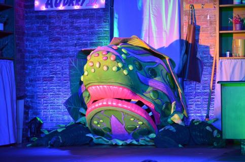 Astonishing Theatre Company - Grass Valley, CA