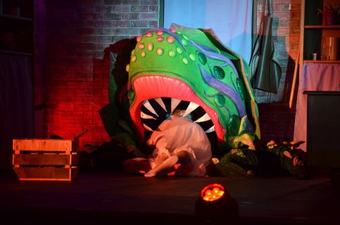 Astonishing Theatre Company - Grass Valley, CA