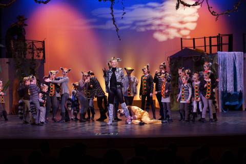 MADAGASCAR Jr - quality costumes for rent