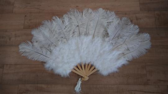 Desired Effect Rentals