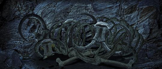 Lion King Drop Rental