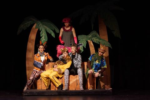 MADAGASCAR Jr - quality costumes for rent