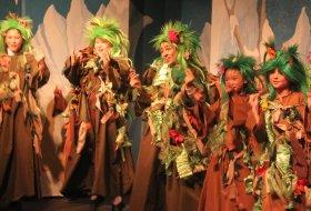 Frozen JR Costume Rentals