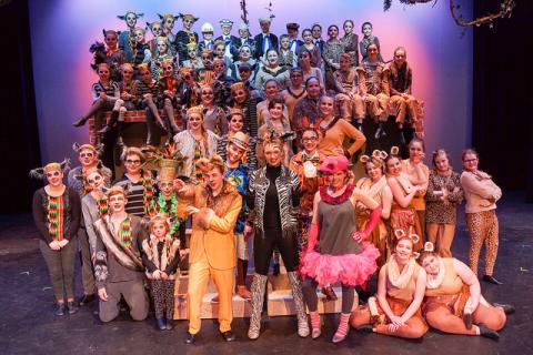 MADAGASCAR Jr - quality costumes for rent