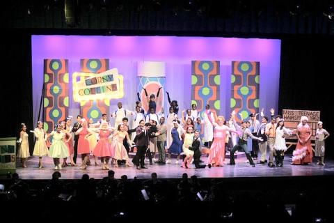 Hairspray Costumes CHEAP