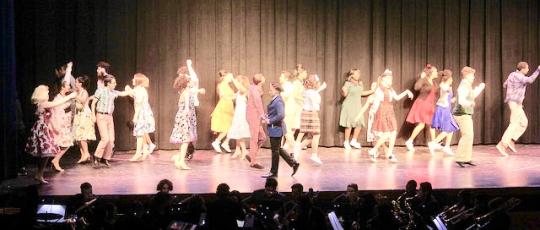 Hairspray Costumes CHEAP