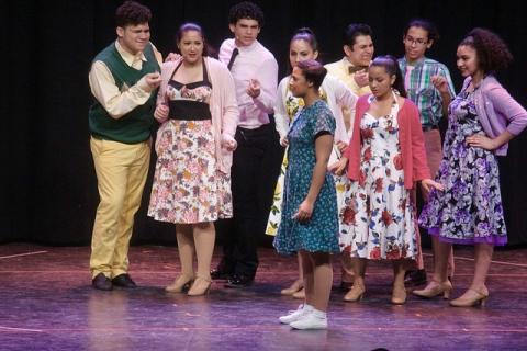 Hairspray Costumes CHEAP