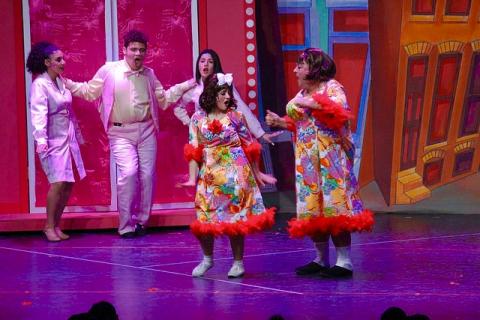 Hairspray Costumes CHEAP