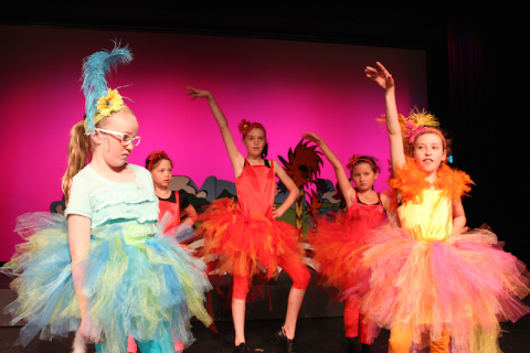 Seussical Costumes and Props