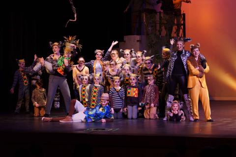 MADAGASCAR Jr - quality costumes for rent