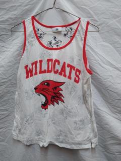 High School Musical Costumes