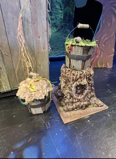 Swamp pails and Tree Stump