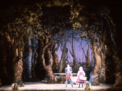 INTO THE WOODS