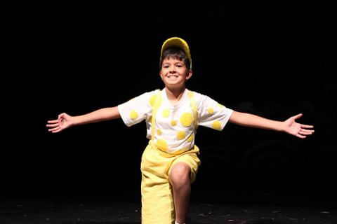 Seussical Costumes and Props