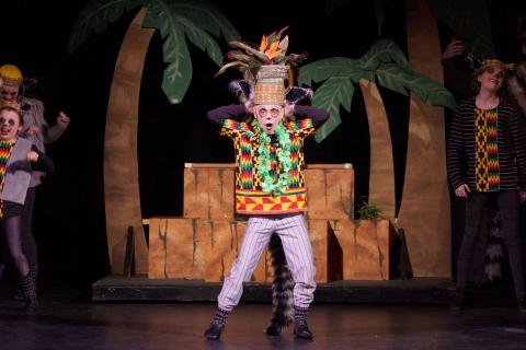 MADAGASCAR Jr - quality costumes for rent