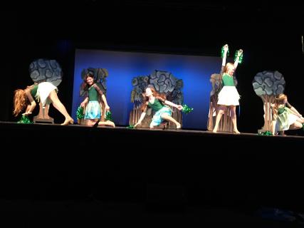 Camelot Monty Python Costumes