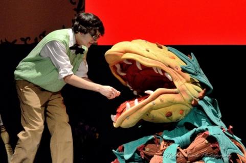 Little Shop of Horrors Audrey II Plant Puppet Rentals:  Full set!