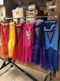 Disney's MERMAID JR. COSTUMES FOR RENT