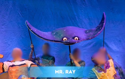 Mr Ray Puppet