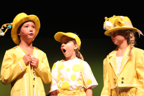 Seussical Costumes and Props