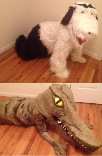 croc shoe costume