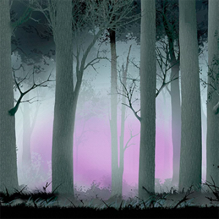 Newsies Theatrical Drop Rental