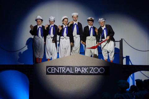 MADAGASCAR Jr - quality costumes for rent