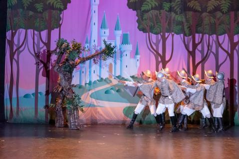 Cinderella Costume Rental