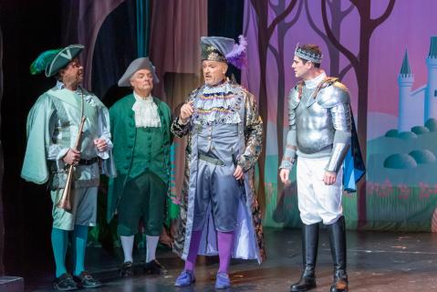 Cinderella Costume Rental