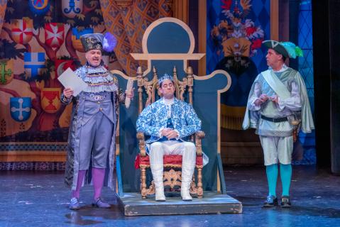 Cinderella Costume Rental