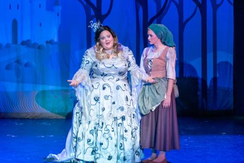 Cinderella Costume Rental