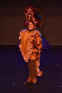 Disney's MERMAID JR. COSTUMES FOR RENT