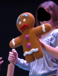 Shrek Dragon, Gingy, Bird