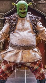 Pro Shrek Costume Packages