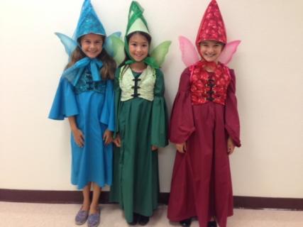 Sleeping Beauty KIDS costumes & props